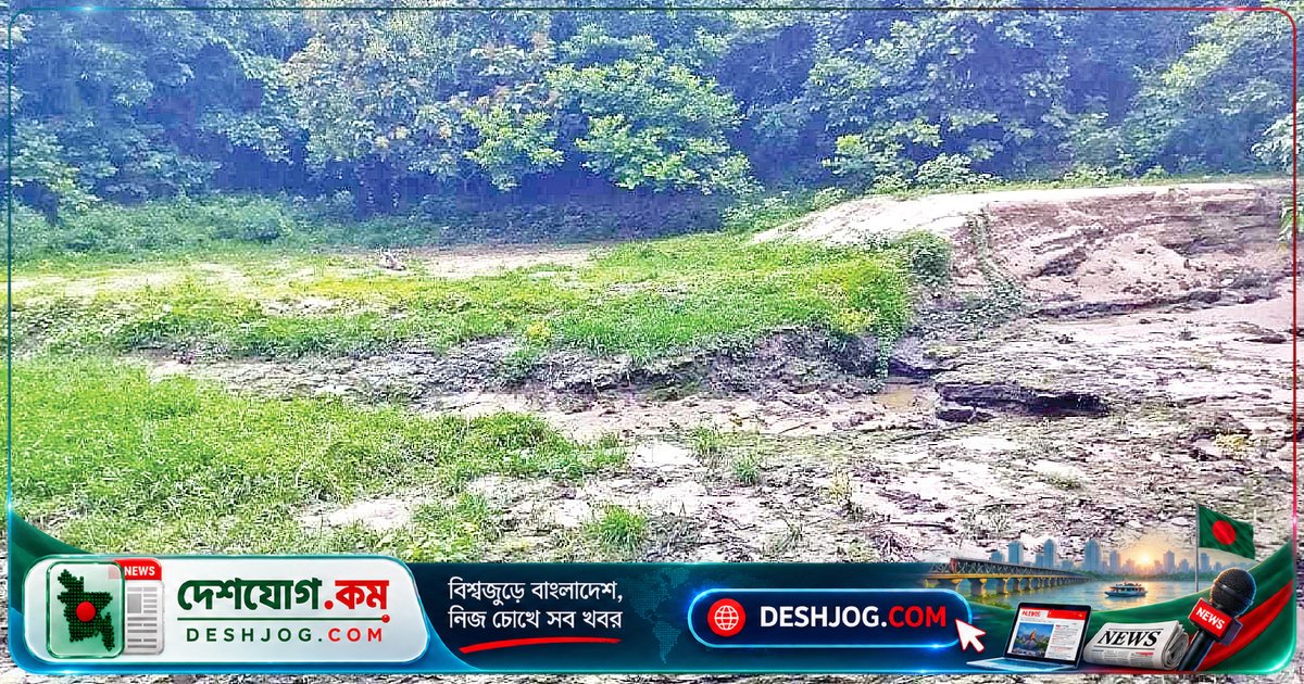 সাতছড়ি জাতীয় উদ্যানে পানির সংকট: শুকিয়ে যাওয়া পুকুর ও ছড়াগুলো বিপন্ন প্রাণীদের জন্য বিপদ সৃষ্টি করছে