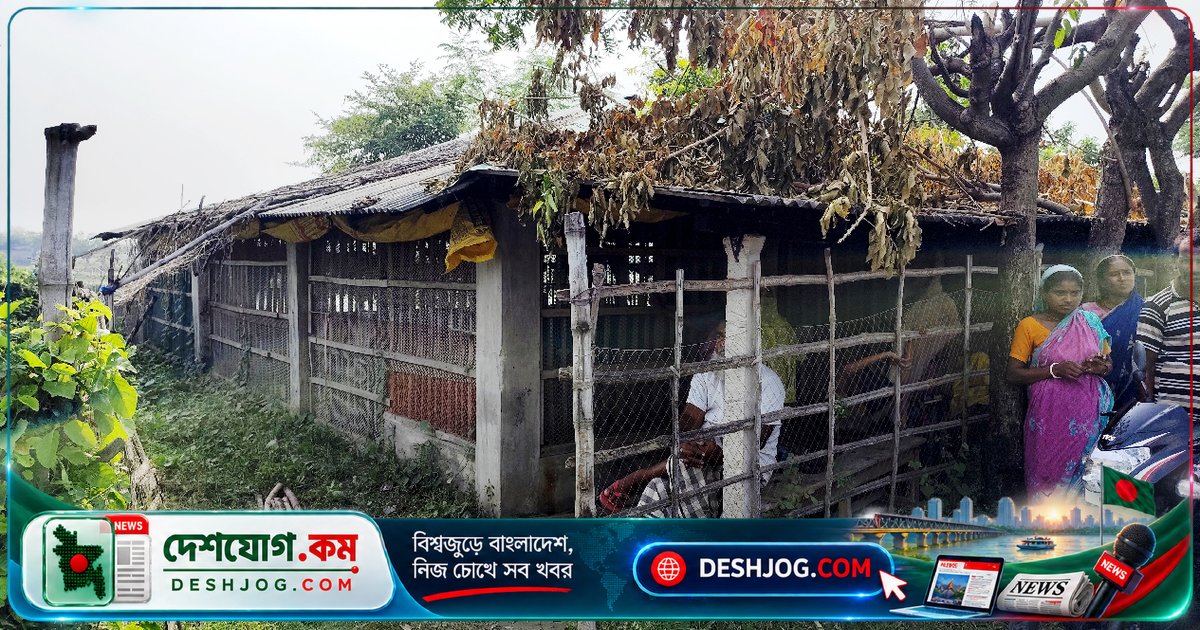 সাতক্ষীরা দেবহাটায় অস্ত্রধারী দলের হামলায় মুরগির খামার লুট, ৬৫০টি মুরগি ও ৫-৭ লাখ টাকা ক্ষতি