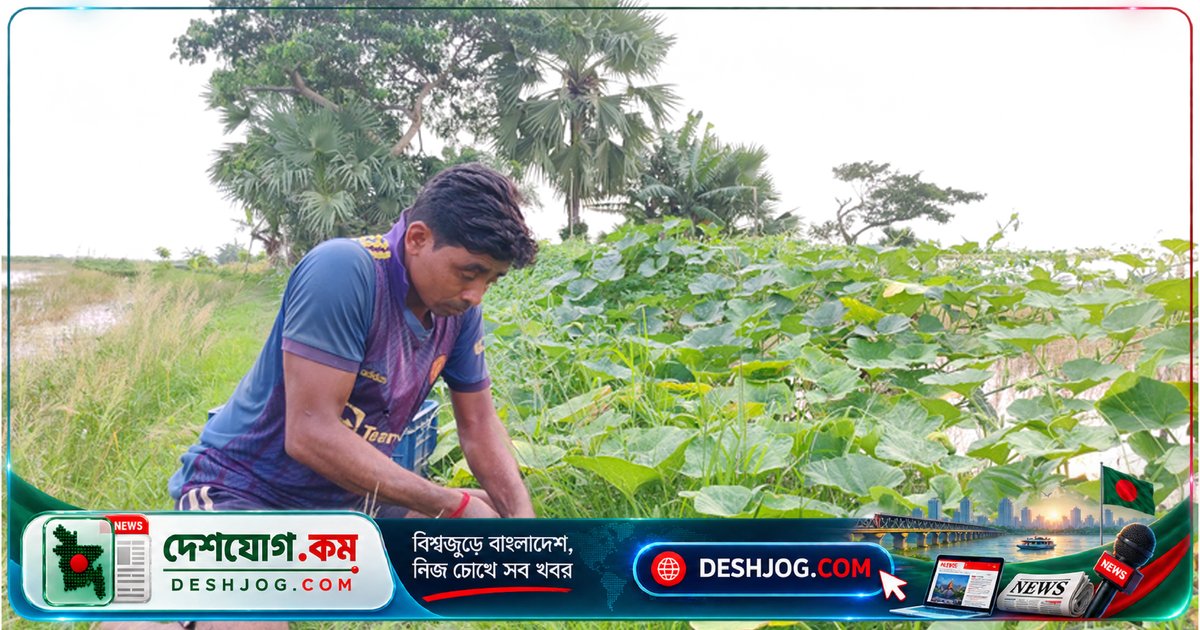 সাতক্ষীরায় ঘেরের বেড়িবাঁধে সবজি-মাছ চাষ: কৃষকরা বাড়ছে আয় ও জমির ব্যবহার
