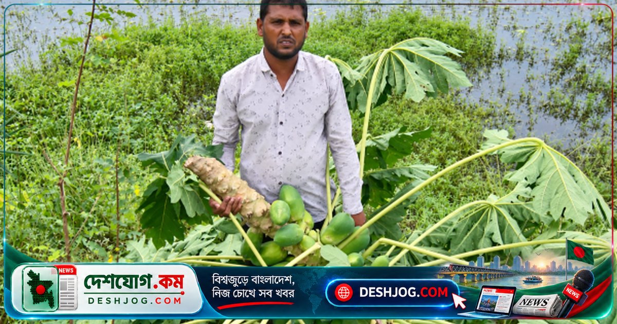 সাতক্ষীরায় জামায়াত নেতা ও সহযোগীদের নেতৃত্বে ঘেরে লুটপাট ও আগুন: ১০ লাখ টাকার ক্ষতি