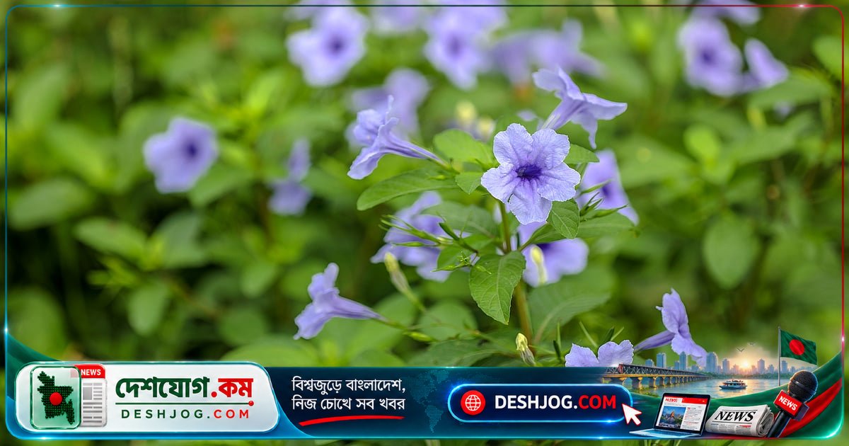 ফুলের গন্ধ ও রঙের গোপন বিজ্ঞান: কেন কিছু ফুল গন্ধহীন?