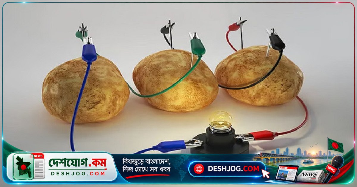 বিজ্ঞানীরা কীভাবে আলু দিয়ে ক্ষুদ্র বিদ্যুৎ উৎপাদন করে? স্মার্টফোন চার্জের সম্ভাবনা কি?