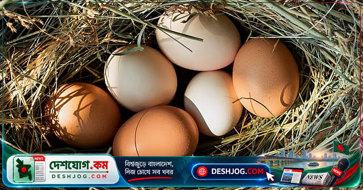 সায়েন্সের মজার কৌশল: কাঁচা ডিম কীভাবে সেদ্ধ ডিম থেকে আলাদা করা যায়?