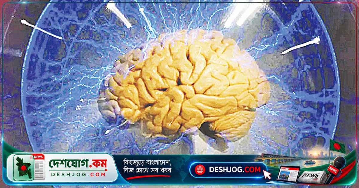 বিজ্ঞানীরা আবিষ্কার: মানবমস্তিষ্ক আসলে দুটি পৃথক অঙ্গের সমন্বয়!