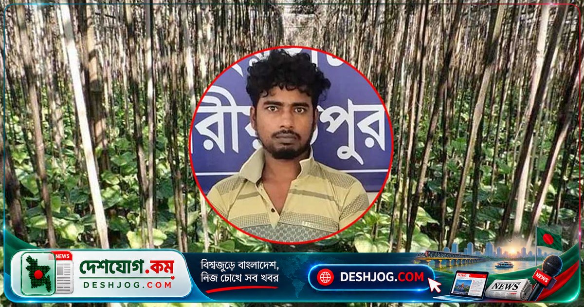 শরীয়তপুরের কিশোরী ধর্ষণ মামলায় পলাতক যুবক ঢাকার যাত্রাবাড়ী থেকে গ্রেপ্তার, আদালতের আদেশে কারাগারে পাঠানো