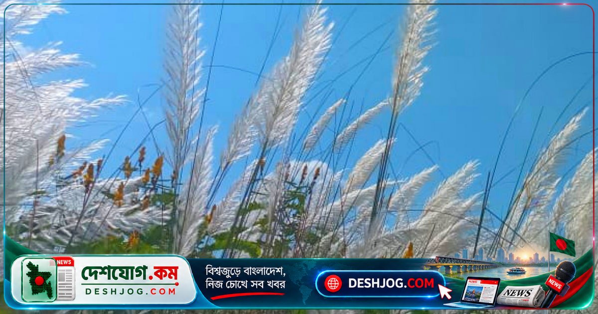 শরতের শেষের দিনে প্রকৃতির স্নিগ্ধ রূপের ক্যামেরা ফ্রেমে রাজীব পালের চিত্রকর্ম