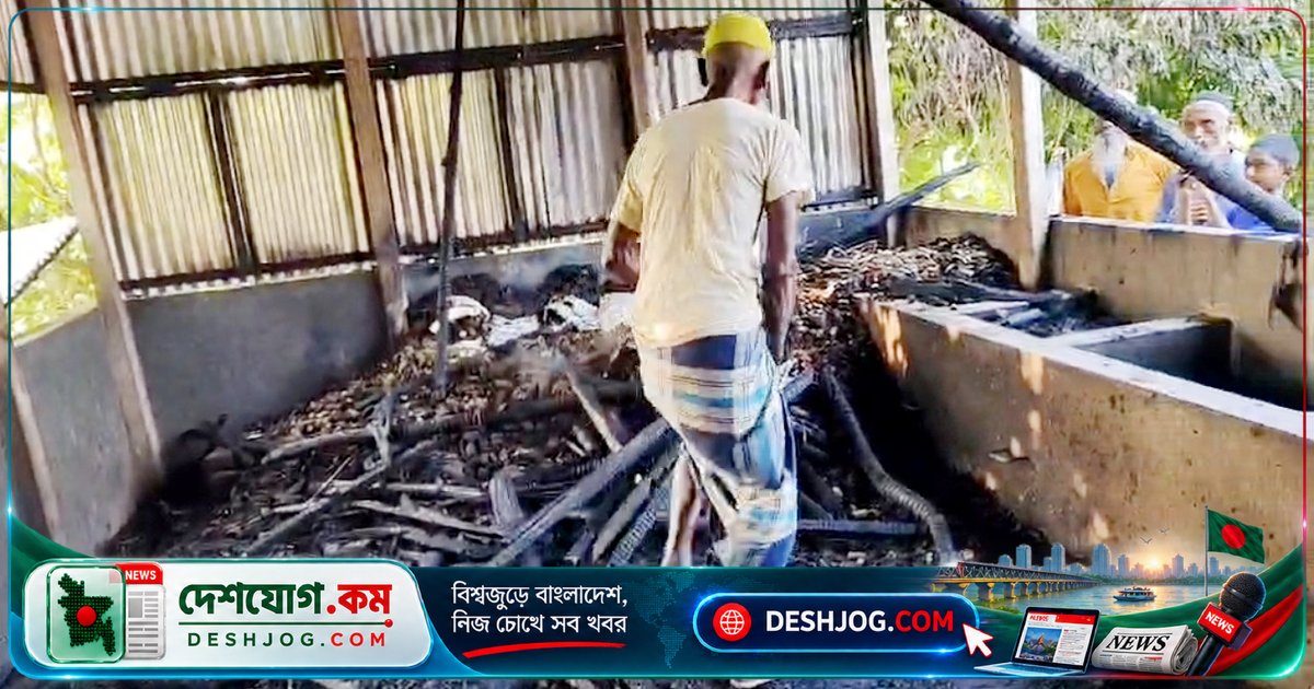 শেরপুরে গোয়ালঘর আগুনে পুড়ে মারা যায় ১২টি গবাদিপশু, ক্ষতি ৯ লাখ টাকা