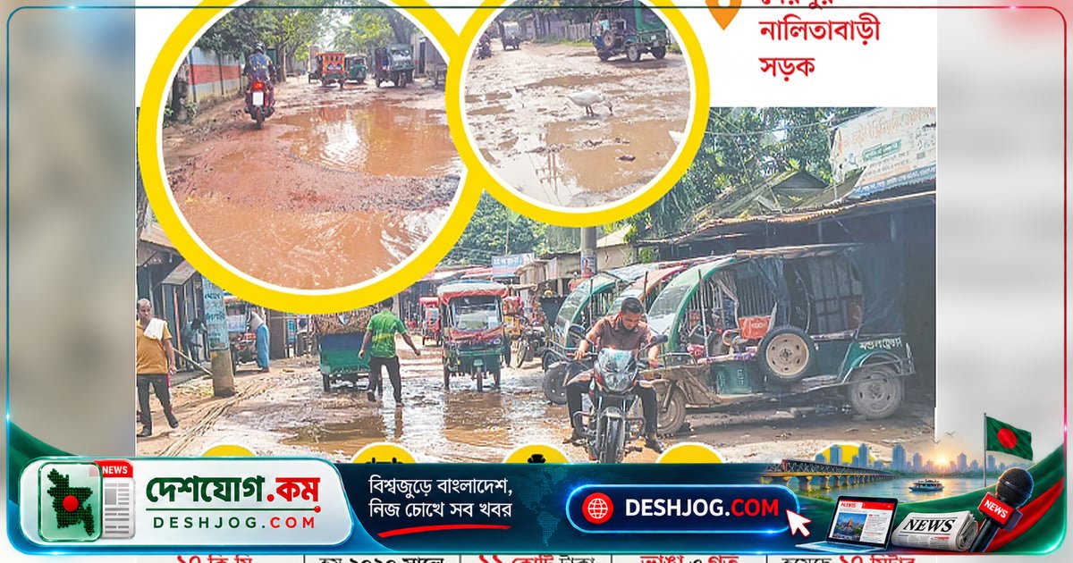 শেরপুরের নালিতাবাড়ী সড়ক: ভাঙা রাস্তায় নাতনিকে নিয়ে কষ্টের যাত্রা, ‘দেখার কেউ নাই?’
