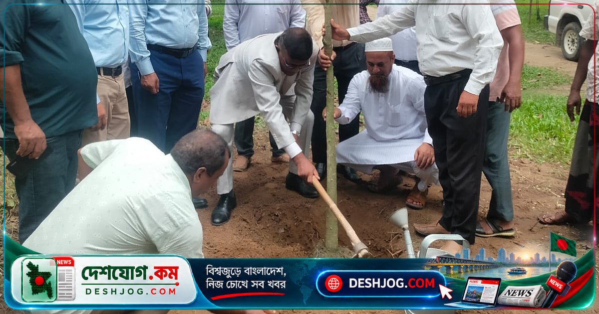সেতাবগঞ্জে চিনিশিল্পের উদ্যোগে পরিবেশবান্ধব আখ চাষ ও বৃক্ষরোপণ কর্মসূচি শুরু, ১৫ হাজার গাছ রোপণের লক্ষ্য