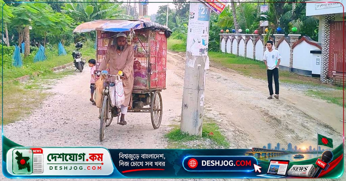 শ্রীপুর বাইপাস নির্মাণে বৈদ্যুতিক খুঁটির বাধা, স্থানান্তরে দীর্ঘসূত্রিতায় ক্ষুব্ধ স্থানীয়রা