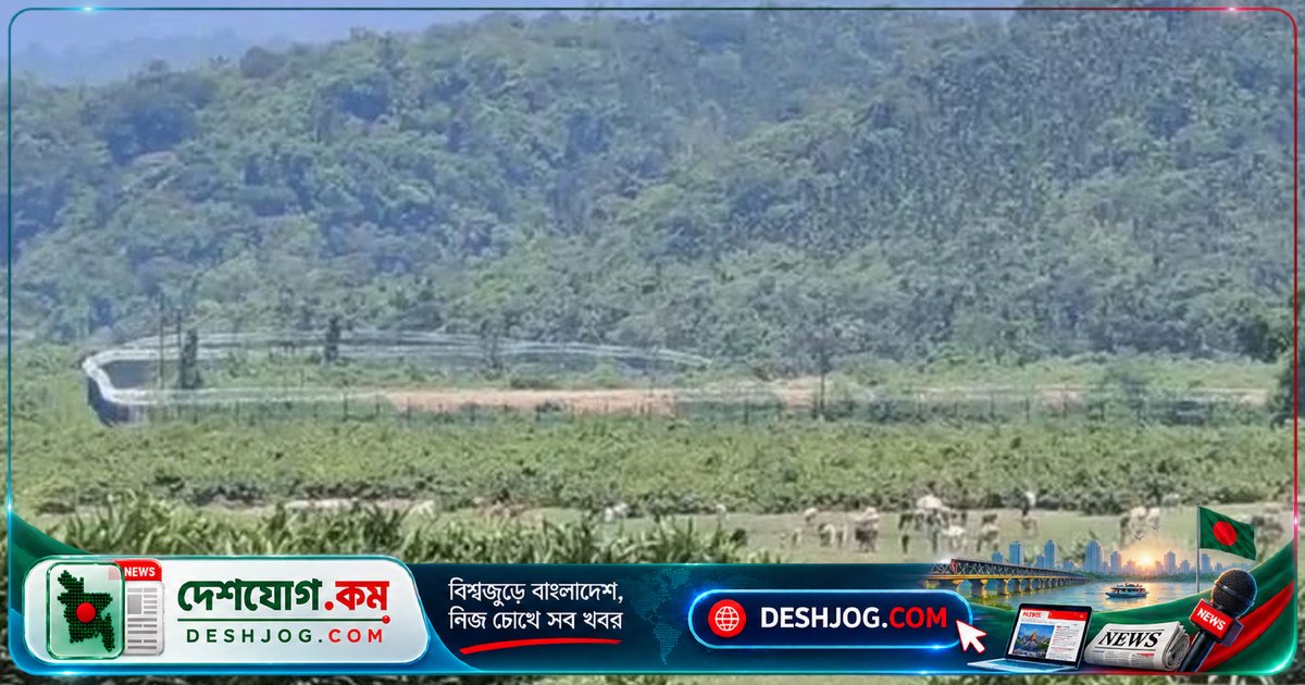 সিলেট সীমান্তে চোরাচালানের নেটওয়ার্ক: ভারতীয় পণ্য থেকে বাংলাদেশি মাছ পর্যন্ত জব্দ ২২ লাখ টাকার মালামাল