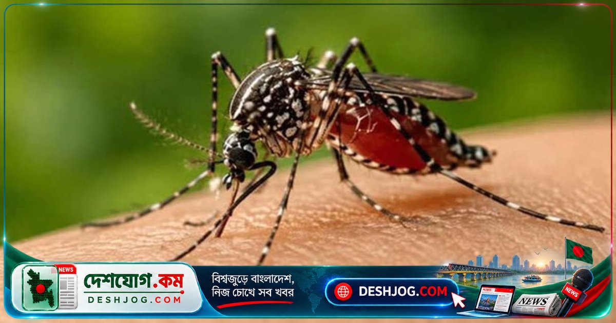 সিলেটে ডেঙ্গু সংক্রমণ বাড়ছে: ৩৭৪ জন আক্রান্ত, ৩০ জন হাসপাতালে চিকিৎসাধীন
