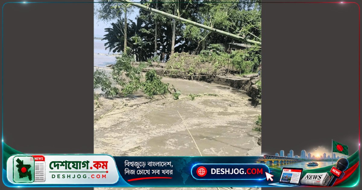 সিরাজগঞ্জের চৌহালীতে যমুনা নদীর ভাঙনে বিলীন ৩৫ মিটার এলাকা, স্কুল ও বাড়ি হুমকিতে