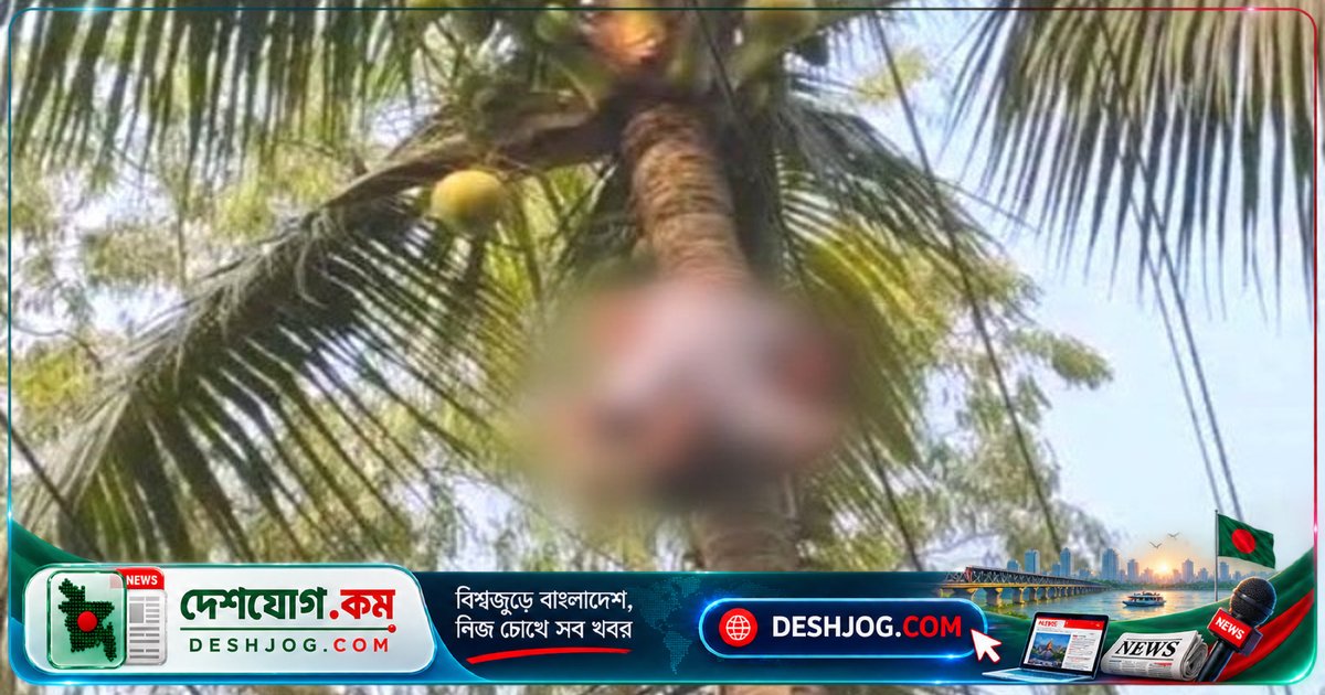 সিরাজগঞ্জের রায়গঞ্জে গাছ পরিষ্কারকালে বিদ্যুৎস্পৃষ্টে যুবক নিহত, বাবা শোকায়িত