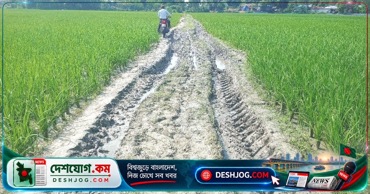সিরাজগঞ্জের কাজীপুরে কাঁচা রাস্তা: বৃষ্টিতে কাদা-পানি, মানুষের যাতায়াত বন্ধ হয়ে যায়