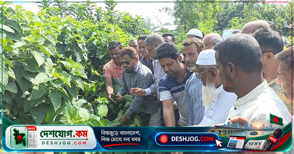সিরাজগঞ্জের রায়গঞ্জে এমপি আয়নুল হক উদ্বোধন করেন ডেঙ্গু প্রতিরোধের পরিচ্ছন্নতা অভিযান