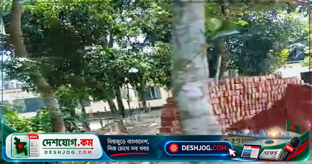 সিরাজগঞ্জের স্কুলের প্রাঙ্গণে বট-আম গাছ কাটা-বিক্রির অভিযোগ: পরিবেশ বিপন্ন হচ্ছে