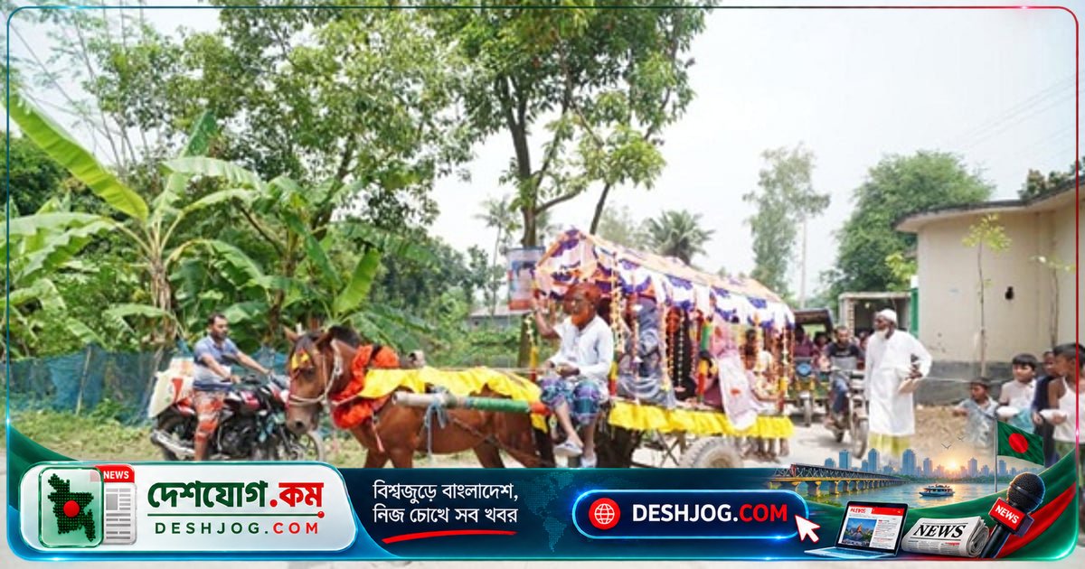 সোনাখাড়া গ্রামের শিক্ষক হাফিজুর রহমান সরকারের বর্ণিল বিদায়: তরুণদের স্বতঃস্ফূর্ত সম্মাননা ও রাজকীয় শোভাযাত্রা