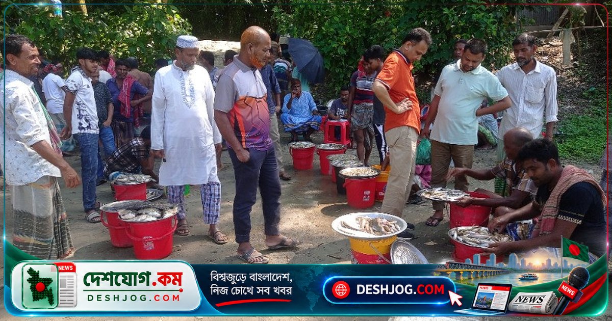 সিরাজগঞ্জের যমুনা নদীর টাটকা মাছের বাজারে প্রতিদিন লাখ লাখ টাকার লেনদেন