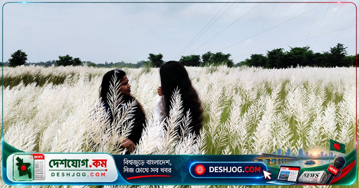 সিরাজগঞ্জের যমুনা তীরে শরতের সাদা মেলা: প্রকৃতিপ্রেমীদের আকর্ষণে ভিড় বাড়ছে