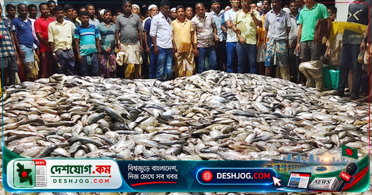 সীতাকুণ্ডে ৭ টন ইলিশ জব্দ, বিতরণ ২৫ এতিমখানায় - সরকারি নিষেধাজ্ঞা বাস্তবায়নে অভিযান