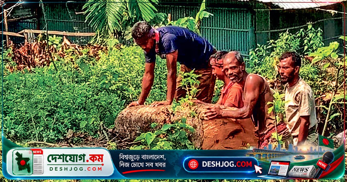 সীতাকুণ্ডের রেল-বনাঞ্চলে প্রকাশ্যে বন উজাড়: ২০ দিনে শতাধিক গাছ কাটা, নীরব রেল-বন বিভাগ