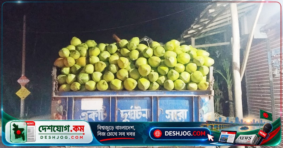 দক্ষিণাঞ্চলের গ্রামীণ অর্থনীতিতে শতকোটি টাকার ডাব বাণিজ্যের বিপ্লব: নারিকেল গাছ থেকে আয়ের নতুন উৎস