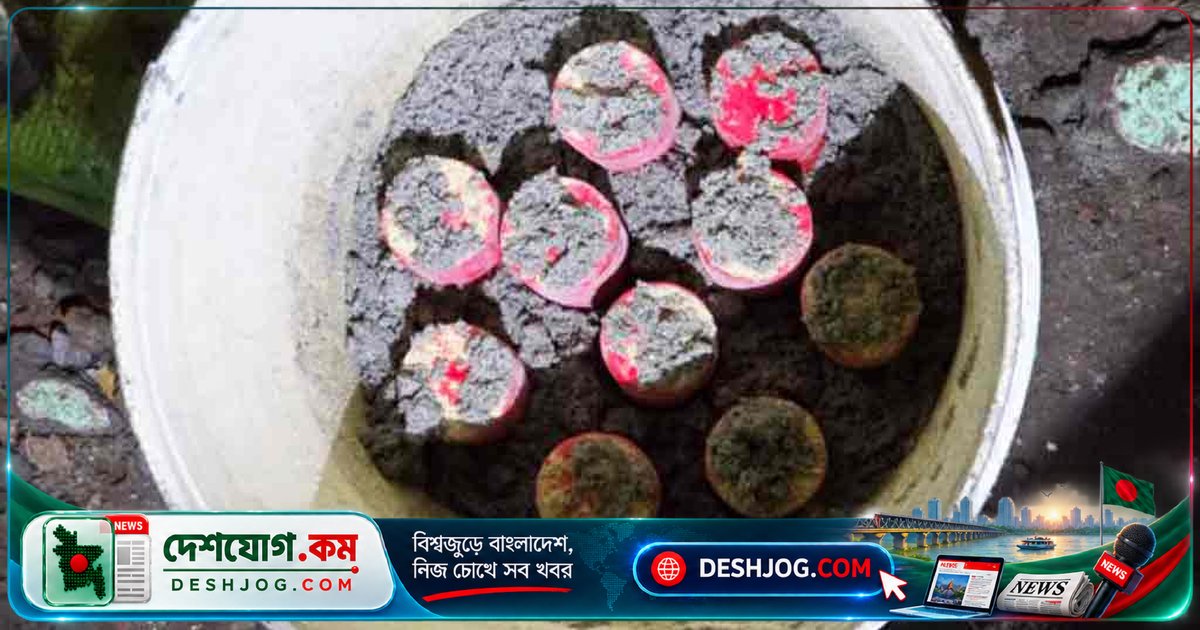ঢাকার দক্ষিণ দনিয়ায় পরিত্যক্ত বাজার ব্যাগ থেকে উদ্ধার ১০টি ককটেল, নিষ্ক্রিয় করা হয় গোলাপবাগে