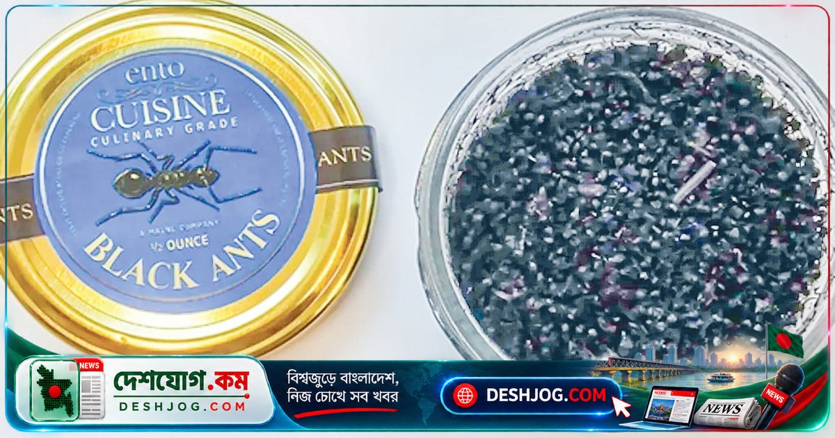দক্ষিণ কোরিয়ার বিলাসবহুল রেস্তোরাঁতে পিঁপড়া দিয়ে সাজানো খাবার: ২৫ মিলিয়ন ওনের জরিমানা