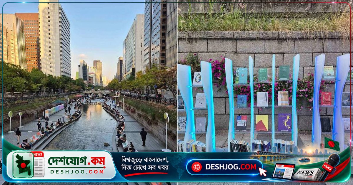 দক্ষিণ কোরিয়ায় তরুণদের মধ্যে বই পড়ার নতুন ফ্যাশন: 'টেক্সট হিপ' কেন জনপ্রিয়তা পাচ্ছে?