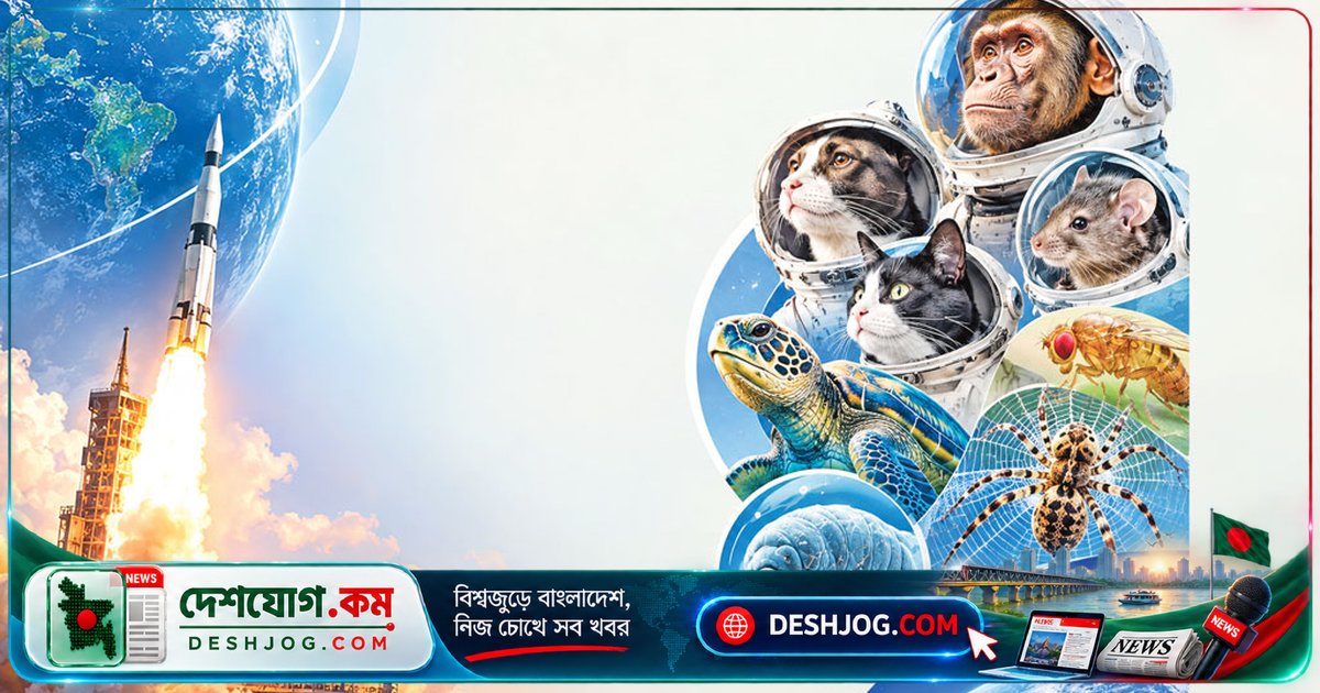 মহাকাশযাত্রার ইতিহাসে মানুষের পথিকৃৎ: কীভাবে প্রাণীরা বিজ্ঞানের অগ্রগতি সৃষ্টি করেছিল