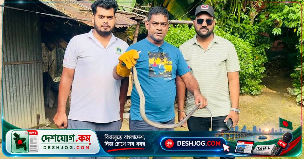 শ্রীমঙ্গলে বিষধর পদ্মগোখরা সাপ উদ্ধার: বন বিভাগের হাতে হস্তান্তর