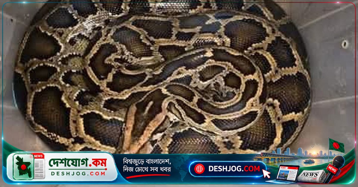 মহাসড়ক থেকে অজগর সাপের জীবন বাঁচায় শ্রীমঙ্গল চিকিৎসক ও বন্যপ্রাণী কর্মীরা