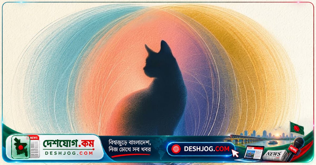 শ্রোডিঙ্গারের বিড়ালের গল্প: কেন ইলেকট্রন একই সঙ্গে একাধিক জায়গায় থাকতে পারে?