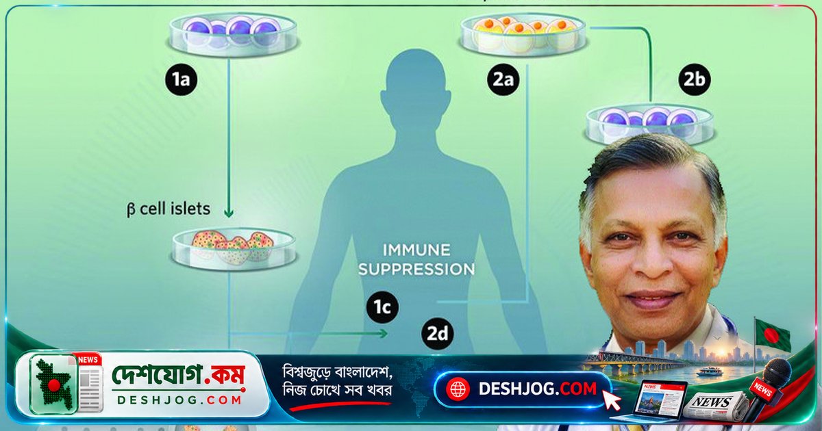 স্টেম সেল থেরাপি: কতদূর এগেছে চিকিৎসা বিজ্ঞানে এবং কতটুকু এখনো গবেষণাধীন?