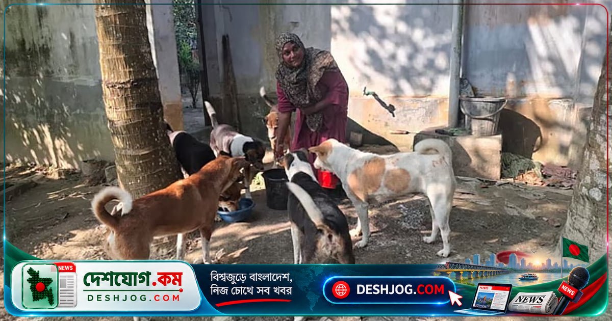 পথকুকুরকে খাওয়ানোর জন্য নারীকে মোবিং: ঢাকার বনশ্রীতে ঘটে নিষ্ঠুরতা, কুকুরের প্রতি বিদ্বেষের গভীর কারণ কী?