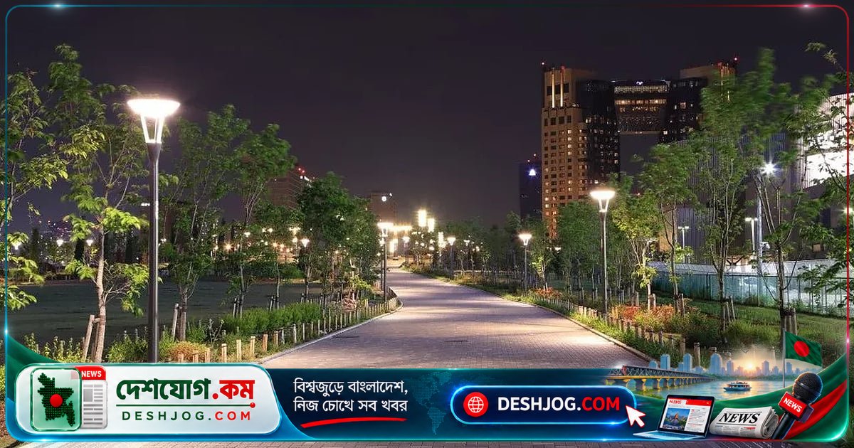 স্ট্রিটলাইটের রাতের আলো কীভাবে গাছের জীবনচক্রকে ভ্রষ্ট করে?