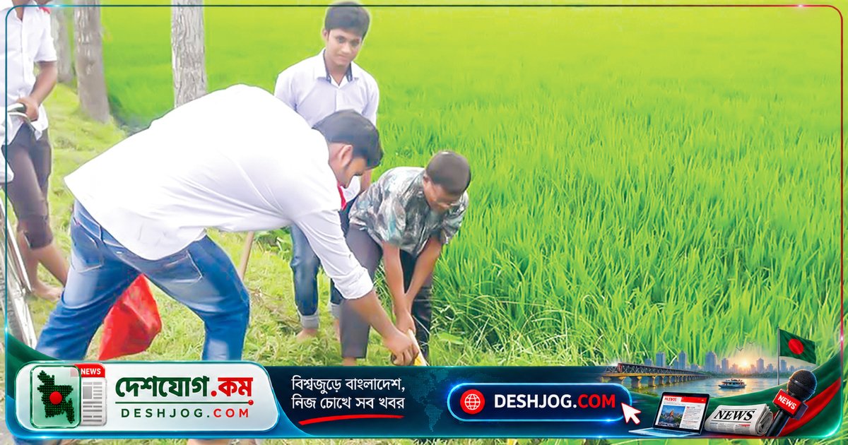 ঝিকরগাছার শিক্ষক সফিয়ার রহমানের এক যুগের সবুজ বিপ্লব: সড়ক থেকে নদীতীরে লাগিয়েছেন ২০ হাজার গাছ