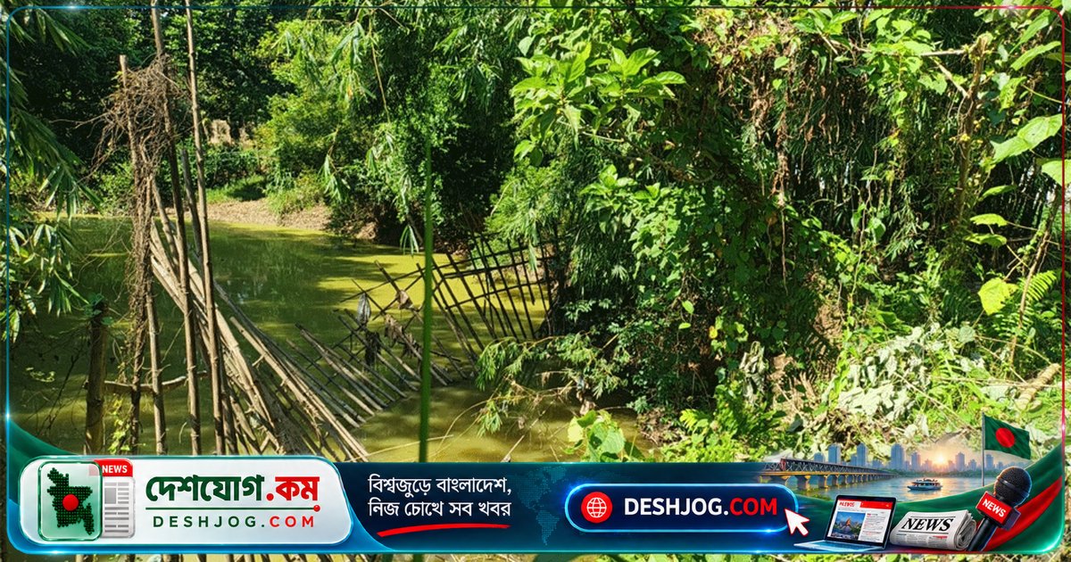 সুনামগঞ্জের শতবর্ষী কবরস্থান নদীভাঙনে বিলীন হচ্ছে, স্থানীয়দের আতঙ্কের মধ্যে জীবন