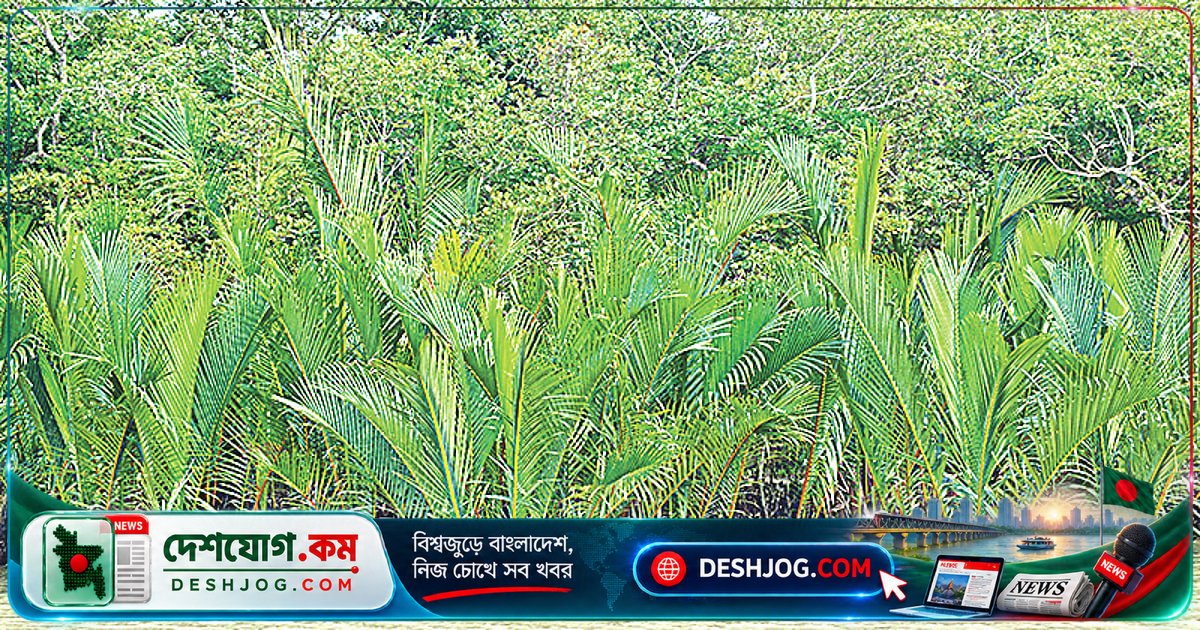 সুন্দরবনের বায়ুতে বিপজ্জনক মাত্রায় দূষণ: পিএম ২.৫ ও পিএম ১০ের মান মানবস্বাস্থ্যের জন্য বিপদসূচক