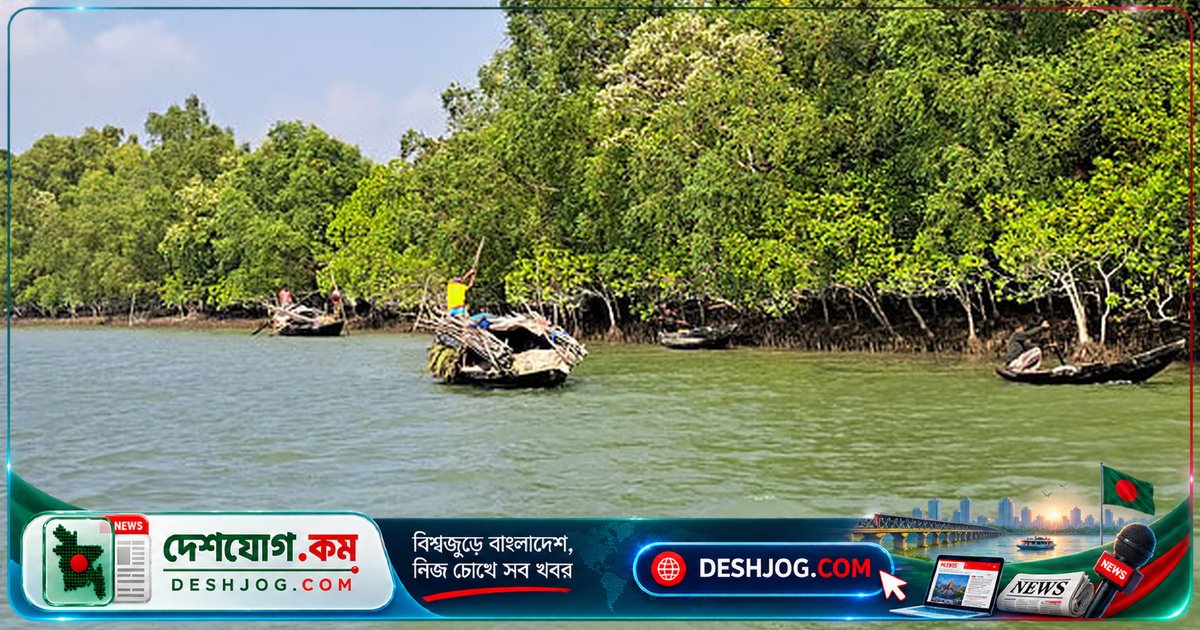 সুন্দরবনের পর্যটক ও জেলেদের দুর্ভোগে যোগাযোগ বিপর্যয়: চার দিন ধরে নেটওয়ার্ক বিচ্ছিন্ন