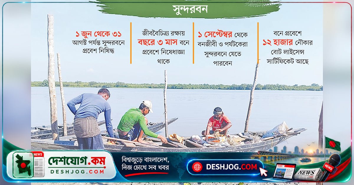 সুন্দরবনে ফেরা নিয়ে জেলেদের মনে দ্বিধা: চাঁদাবাজির আতঙ্কে অনিশ্চয়তা