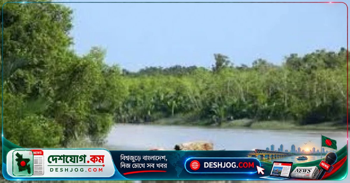 সুন্দরবনের অভয়ারণ্যে অবৈধ মাছ ধরায় ১২ জেলে আটক, জব্দ করা ট্রলার ও নৌকাসহ জাল