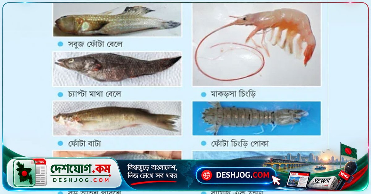 সুন্দরবনের ৭টি নতুন জলজ প্রজাতির ডিএনএ বিশ্ব জিন ব্যাংকে প্রবেশ করছে: গবেষণা সাফল্য