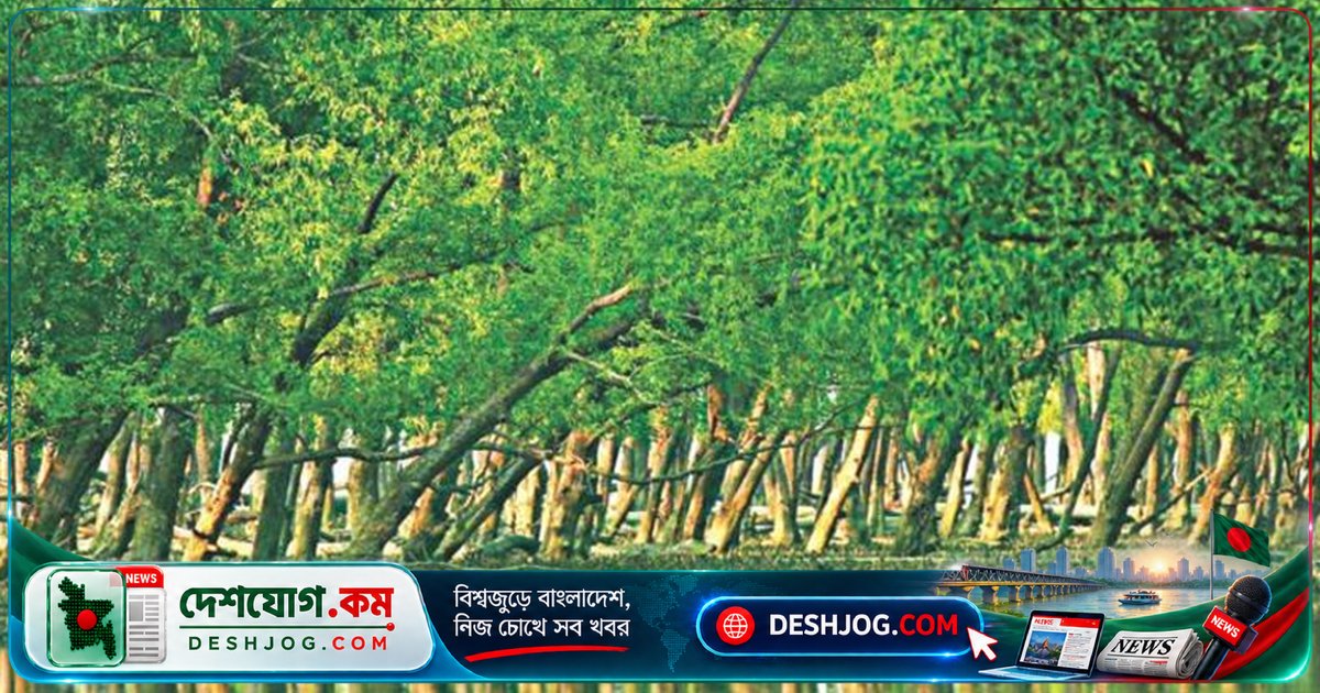 সুন্দরবনের বিশ্ব ঐতিহ্য রক্ষায় বন বিভাগের অভিযানে ছয়জন শিকারী গ্রেফতার, জব্দ হয় ফাঁদ ও নিষিদ্ধ জাল