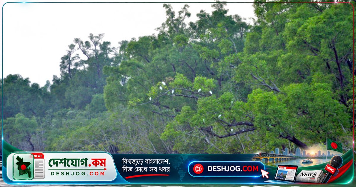 সুন্দরবনের গভীর রাতে বনদস্যুরা ২১ জেলেকে অপহরণ করে আতঙ্ক ছড়িয়ে দিয়েছে জেলে-মহাজনদের মাঝে
