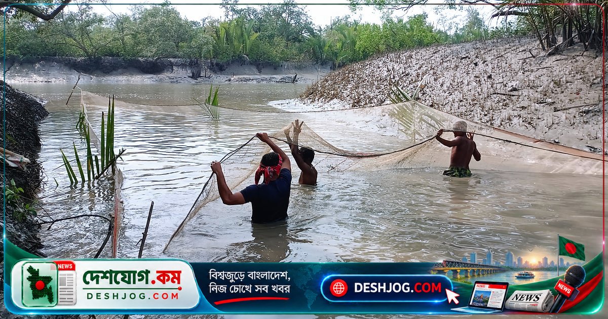 সুন্দরবনের বিষাক্ত মাছধরা: আইন আছে, কিন্তু প্রমাণের অভাবে অপরাধী বের হয় না