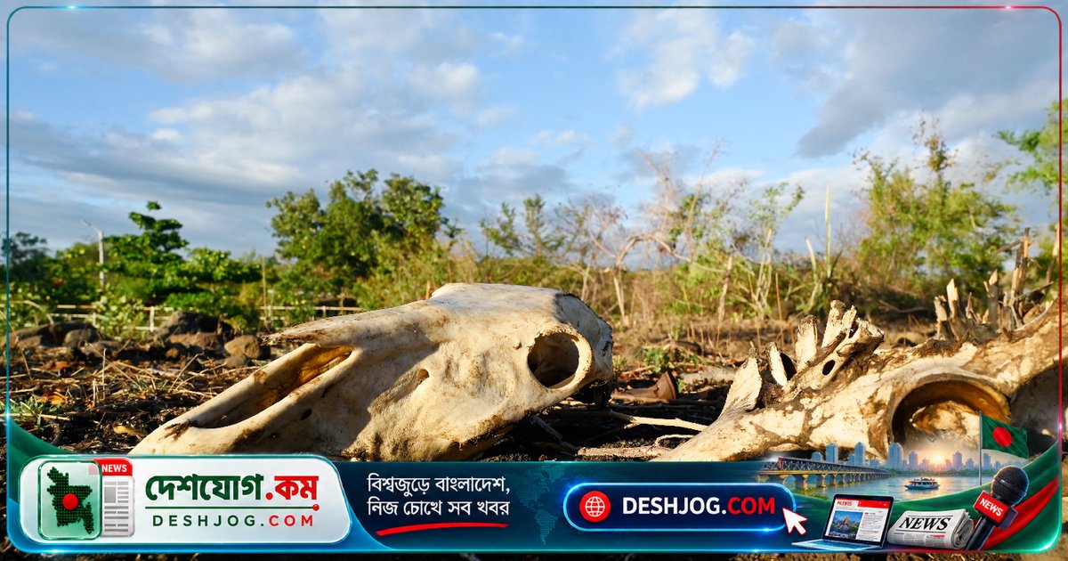 সুপার এল নিনো: ৫ লাখেরও বেশি মানুষের জীবন ঝুঁকিতে, কীভাবে বাঁচাতে হবে?