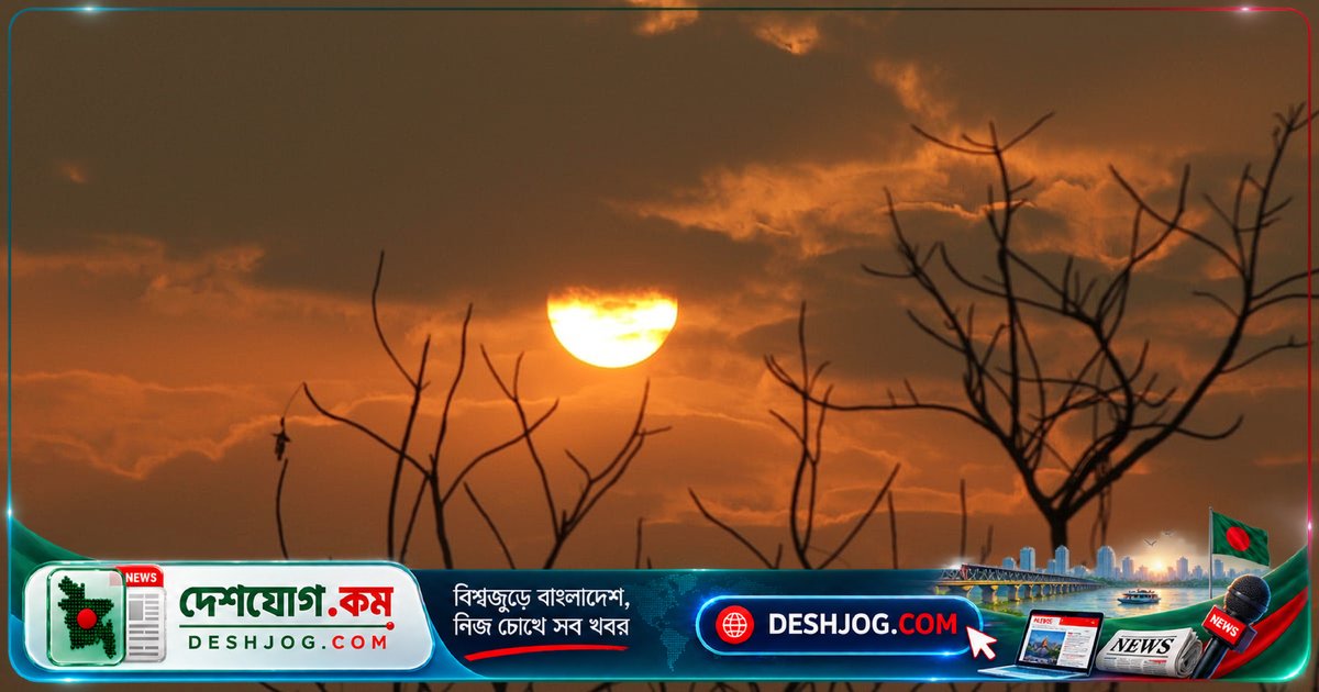 সূর্য হঠাৎ অদৃশ্য হলে পৃথিবী কতদিন টিকে থাকবে? বৈজ্ঞানিক ধারণা ও ভয়াবহ পরিণতি