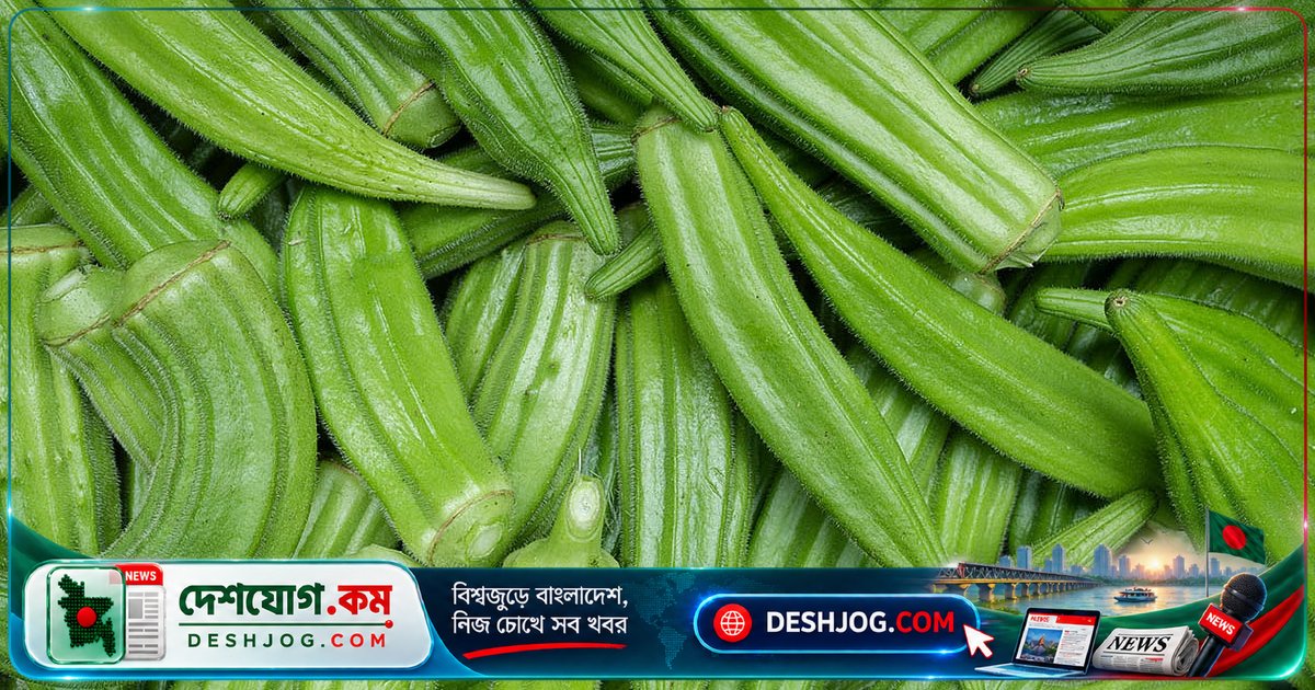 ঢ্যাঁড়সের আঠালো রস থেকে মাইক্রোপ্লাস্টিক অপসারণে নতুন বিজ্ঞানী সমাধান